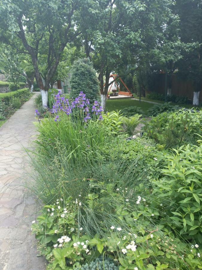 מלון ויסו דה סוס Casa Bota מראה חיצוני תמונה